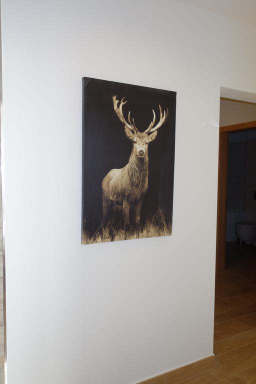 Chesa Muragls Pontresina Rum bild